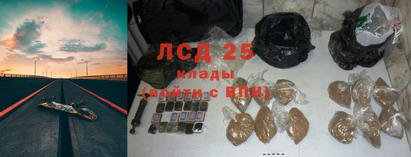 твердый Алзамай