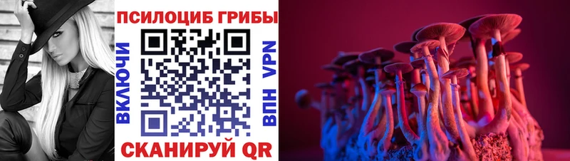 Галлюциногенные грибы Psilocybe  Лебедянь 