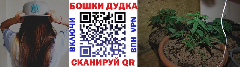 купить  цена  Лебедянь  Бошки марихуана ГИДРОПОН 